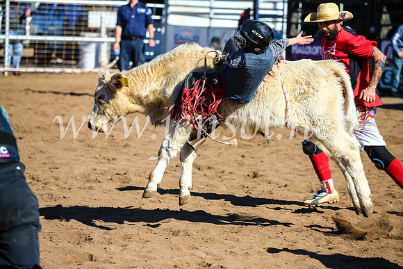 CoonambleRodeoCampdraftMon_7601