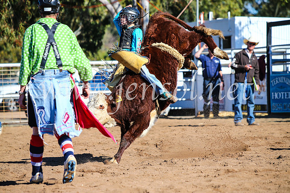 CoonambleRodeoCampdraftMon_7697