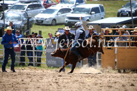 BungendoreRodeo2016-1656