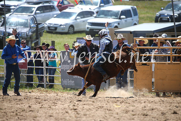 BungendoreRodeo2016-1656