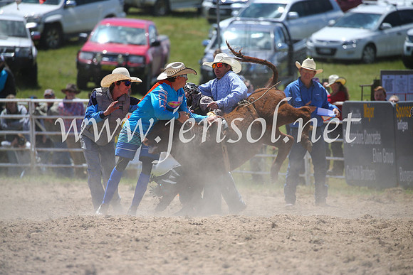 BungendoreRodeo2016-1825