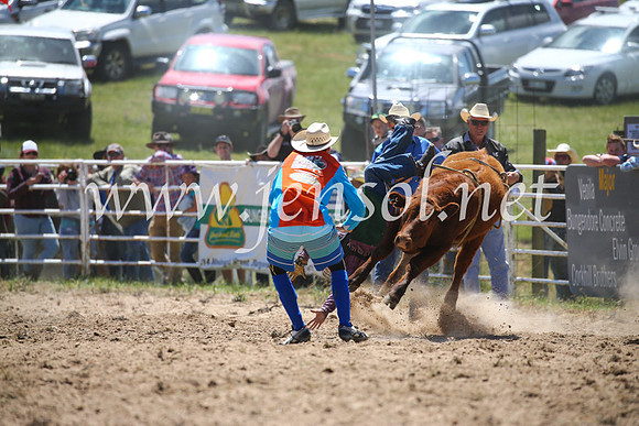 BungendoreRodeo2016-1641