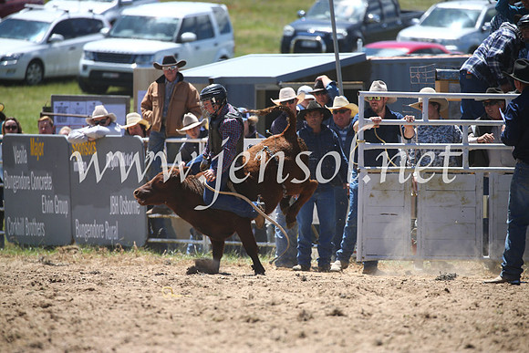 BungendoreRodeo2016-1683