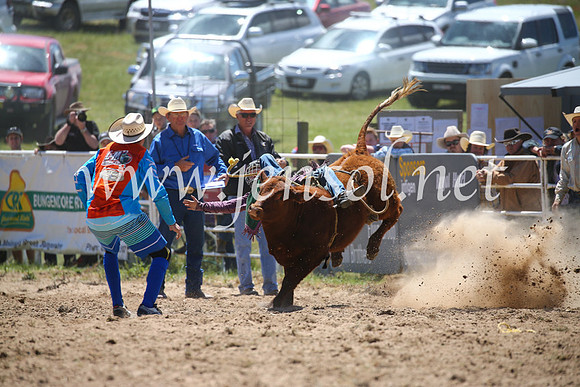BungendoreRodeo2016-1631