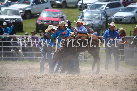 BungendoreRodeo2016-1828