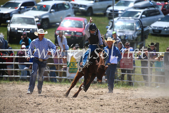 BungendoreRodeo2016-1710