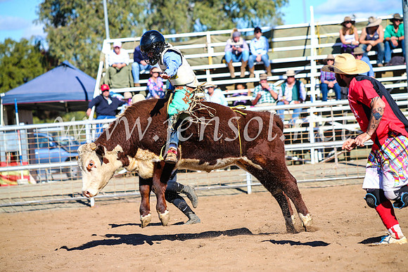 CoonambleRodeoCampdraftMon_7746