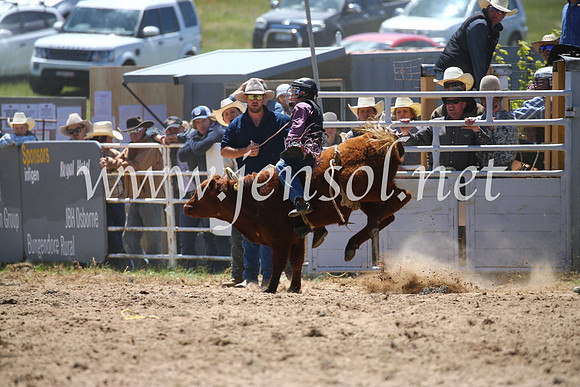 BungendoreRodeo2016-1628