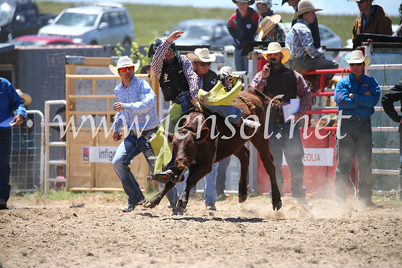 BungendoreRodeo2016-1762