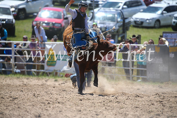 BungendoreRodeo2016-1719