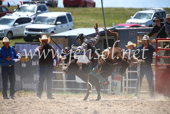 BungendoreRodeo2016-1803