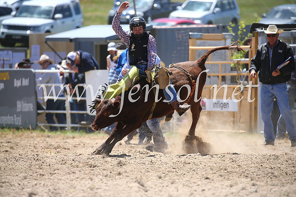 BungendoreRodeo2016-1766