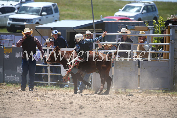 BungendoreRodeo2016-1783
