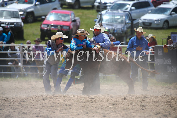 BungendoreRodeo2016-1823