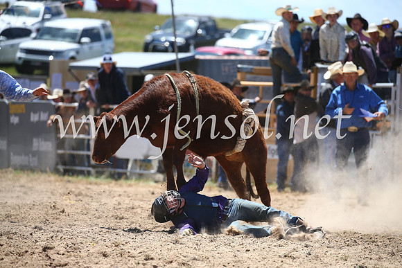 BungendoreRodeo2016-1678