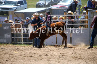 BungendoreRodeo2016-1629