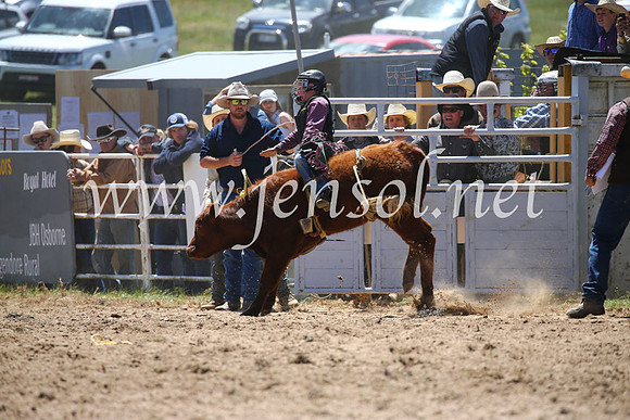 BungendoreRodeo2016-1629