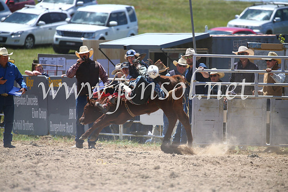 BungendoreRodeo2016-1779