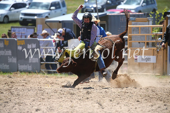 BungendoreRodeo2016-1764