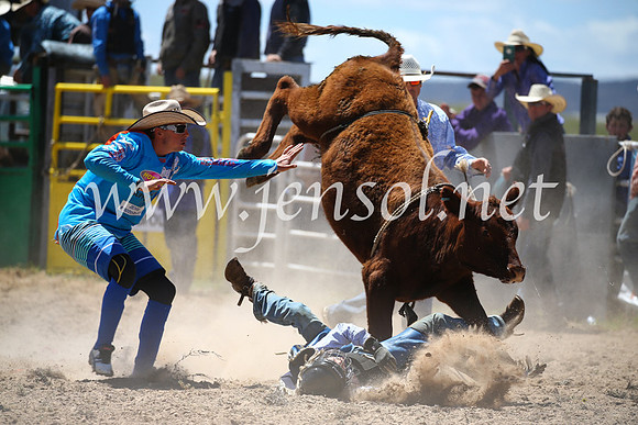 BungendoreRodeo2016-1746