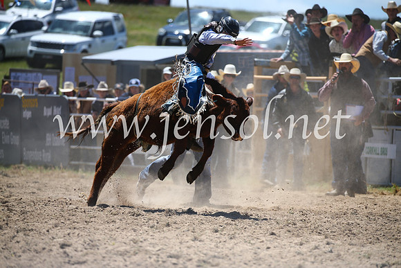 BungendoreRodeo2016-1726
