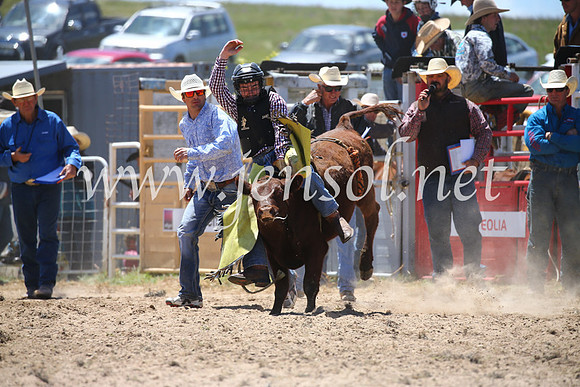 BungendoreRodeo2016-1758