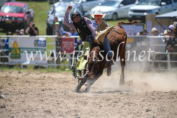 BungendoreRodeo2016-1770