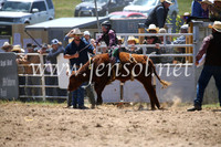 BungendoreRodeo2016-1630