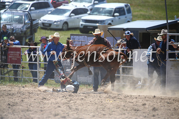 BungendoreRodeo2016-1787
