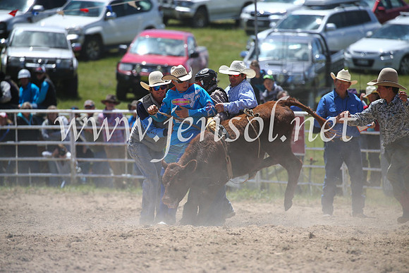 BungendoreRodeo2016-1822