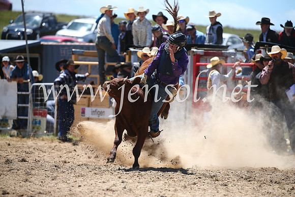 BungendoreRodeo2016-1672
