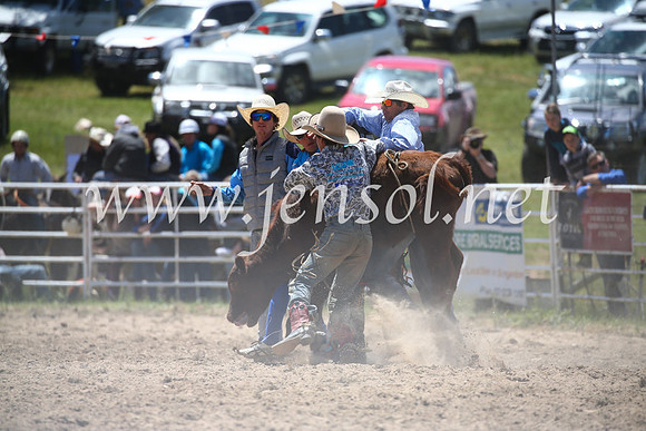 BungendoreRodeo2016-1829