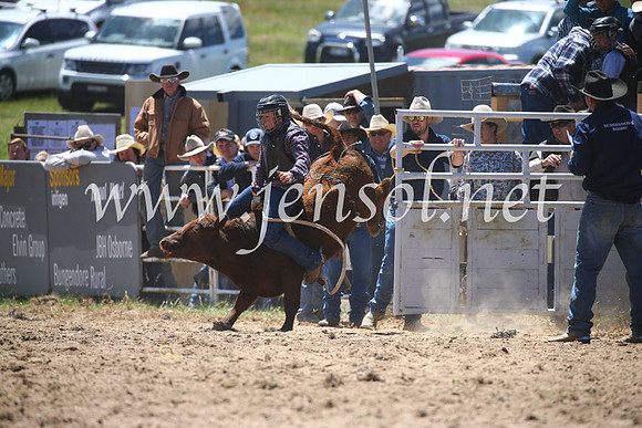 BungendoreRodeo2016-1682
