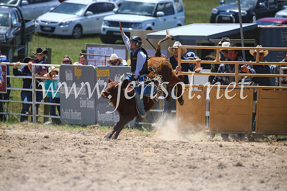 BungendoreRodeo2016-1698
