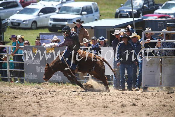 BungendoreRodeo2016-1681