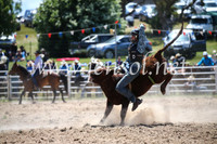 BungendoreRodeo2016-1625