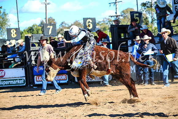 CoonambleRodeoCampdraftMon_7675
