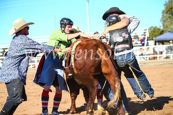 CoonambleRodeoCampdraftMon_6822