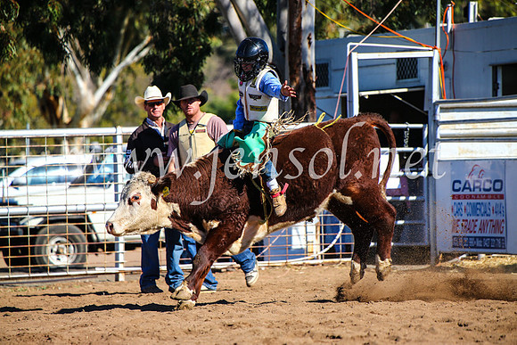 CoonambleRodeoCampdraftMon_7735