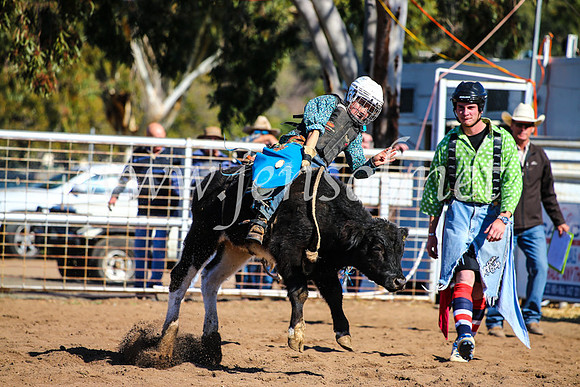 CoonambleRodeoCampdraftMon_7642