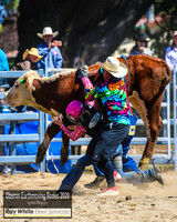 OberonRodeo2020_1052