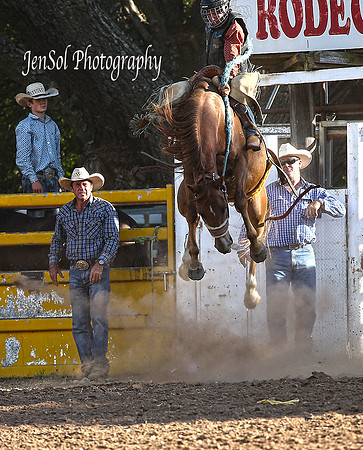 JnrBronc_2929