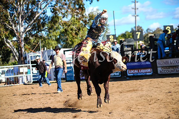 CoonambleRodeoCampdraftMon_7656
