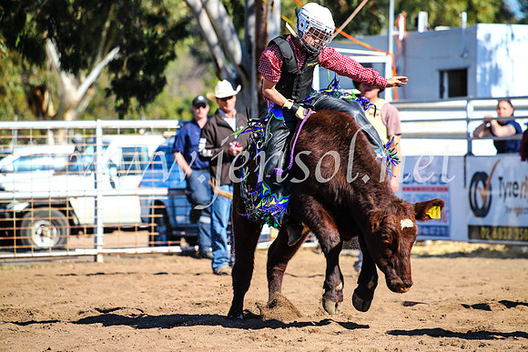 CoonambleRodeoCampdraftMon_7717
