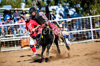 CoonambleRodeoCampdraftMon_6886