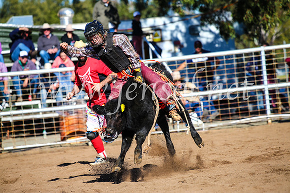 CoonambleRodeoCampdraftMon_6886