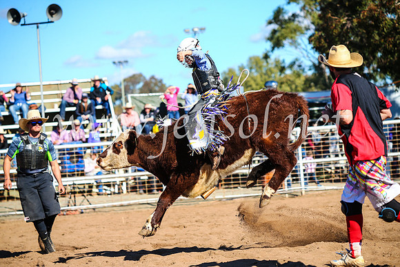 CoonambleRodeoCampdraftMon_7684