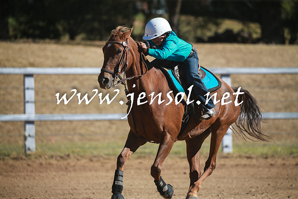 ABHATumut2016_2448