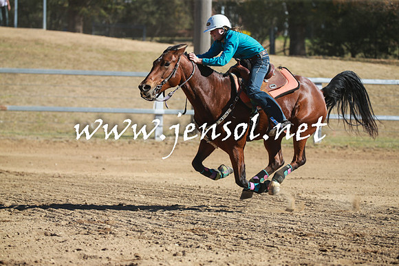 ABHATumut2016_2434