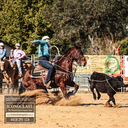 GrenfellRodeo2018_1231